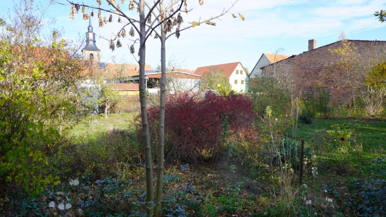 Apartament Huette Mit Herz Im Harz Meisdorf Zewnętrze zdjęcie